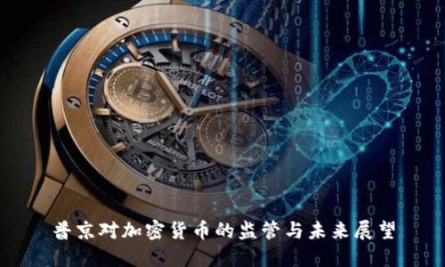 普京对加密货币的监管与未来展望