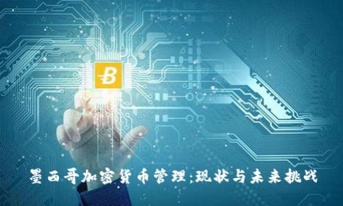 墨西哥加密货币管理：现状与未来挑战
