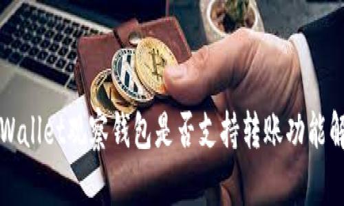 TPWallet观察钱包是否支持转账功能解析