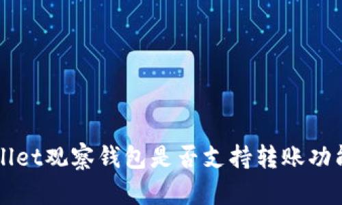 TPWallet观察钱包是否支持转账功能解析