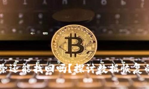 TPWallet被删除还能找回吗？探讨数据恢复的可能性与方法