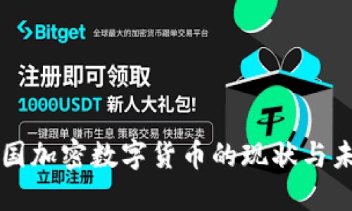 中国加密数字货币的现状与未来