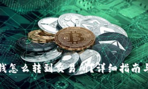 tpwallet里的钱怎么转到交易所？详细指南与常见问题解答