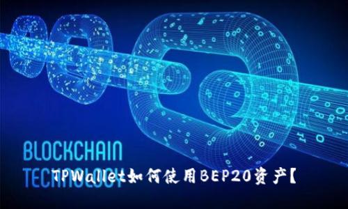 TPWallet如何使用BEP20资产？
