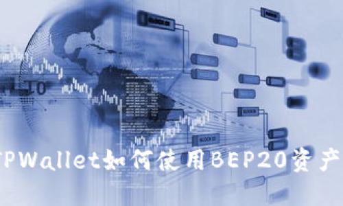 TPWallet如何使用BEP20资产？