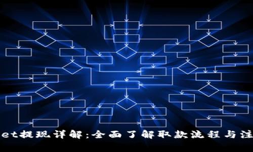 TPWallet提现详解：全面了解取款流程与注意事项