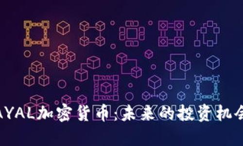 AYAL加密货币：未来的投资机会