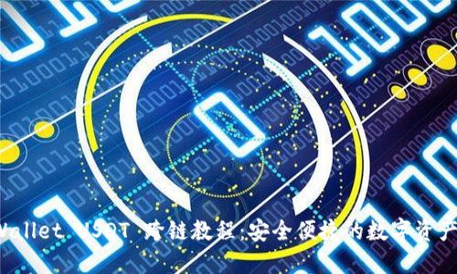 TP Wallet USDT 跨链教程：安全便捷的数字资产管理