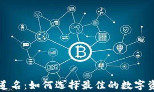 
tpwallet通道名：如何选择最佳的数字资产管理工具