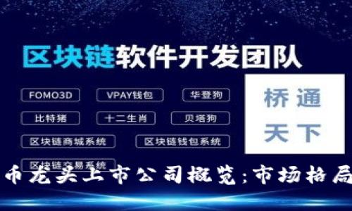 加密数字货币龙头上市公司概览：市场格局与发展潜力