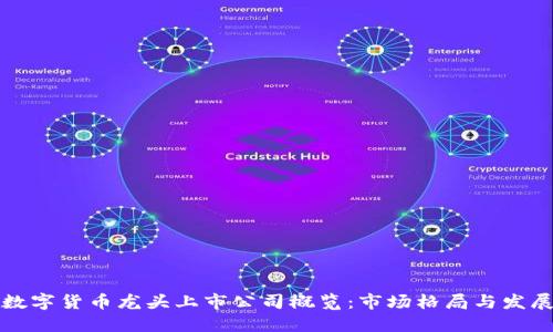 加密数字货币龙头上市公司概览：市场格局与发展潜力