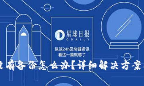 TPWallet没有备份怎么办？详细解决方案与注意事项