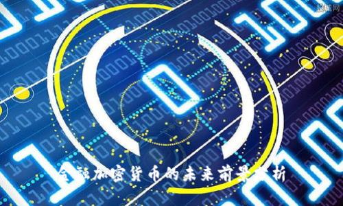 金融加密货币的未来前景分析