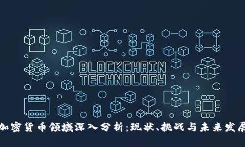 加密货币领域深入分析：现状、挑战与未来发展