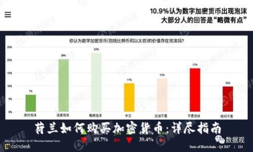 荷兰如何购买加密货币：详尽指南