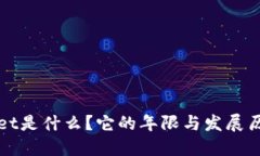 TPWallet是什么？它的年限与发展历程详解