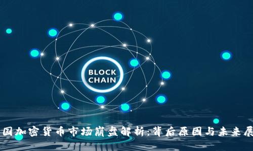 美国加密货币市场崩盘解析：背后原因与未来展望