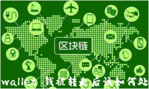 
tpwallet 钱被转走后该如何处理