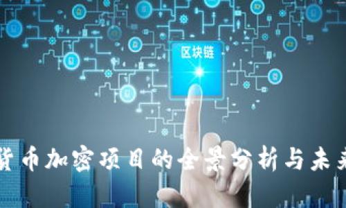 数字货币加密项目的全景分析与未来展望
