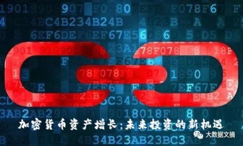 加密货币资产增长：未来投资的新机遇