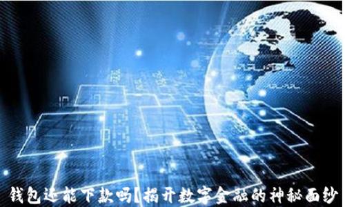 
钱包还能下款吗？揭开数字金融的神秘面纱