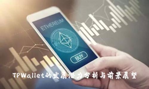 TPWallet的发展潜力分析与前景展望