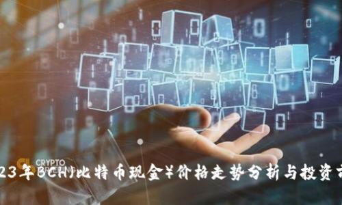 2023年BCH（比特币现金）价格走势分析与投资前景