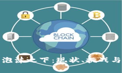 加密货币泡沫之下：现状、挑战与前景分析