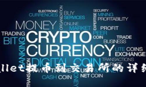 TPWallet提币到交易所的详细指南