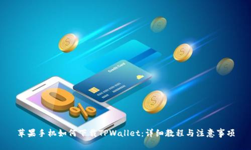 苹果手机如何下载TPWallet：详细教程与注意事项