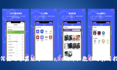 如何使用苹果版本TPWallet：详细教程与实用指南
