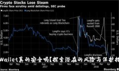 TPWallet真的安全吗？探索潜在的风险与保护措施