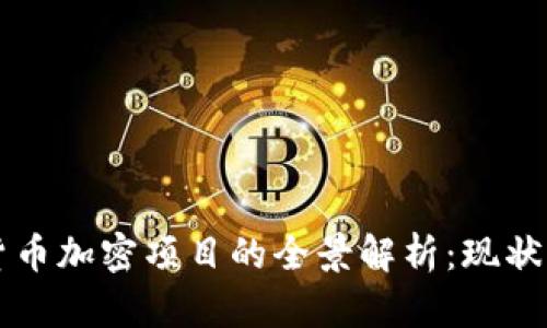 中国货币加密项目的全景解析：现状与未来