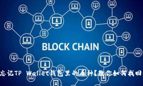 忘记TP Wallet钱包里的币种？教你如何找回！