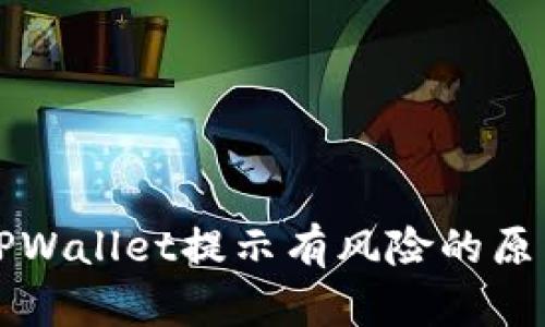 下载TPWallet提示有风险的原因分析