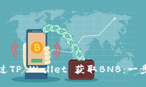 如何通过TP Wallet 获取BNB：一步步指导