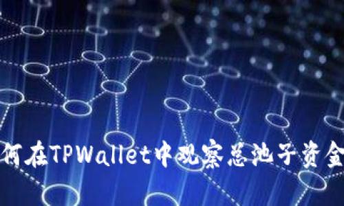 如何在TPWallet中观察总池子资金额