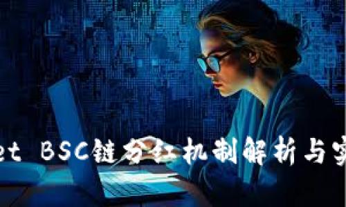 tpwallet BSC链分红机制解析与实践指南