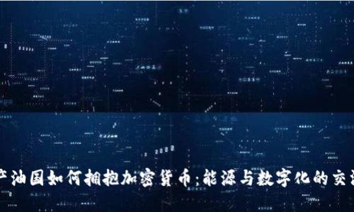 产油国如何拥抱加密货币：能源与数字化的交汇