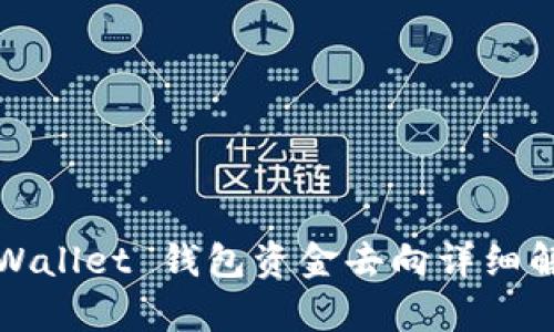 TPWallet 钱包资金去向详细解析