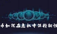 加密货币如何在危机中保持韧性与繁荣