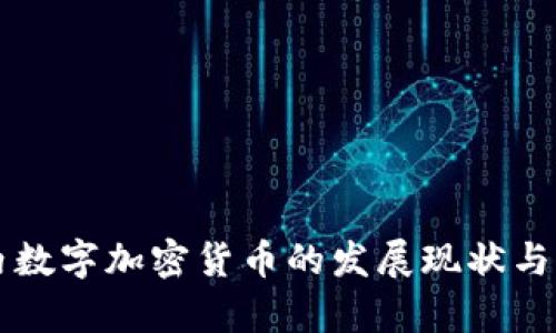 国内数字加密货币的发展现状与前景