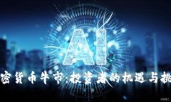 加密货币牛市：投资者的机遇与挑战