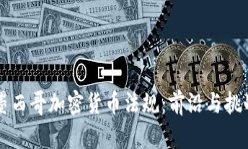 墨西哥加密货币法规：前沿与挑战