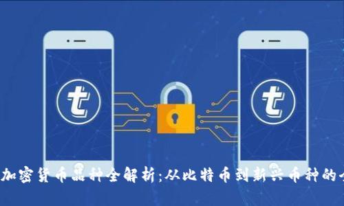 2023年加密货币品种全解析：从比特币到新兴币种的全面指南