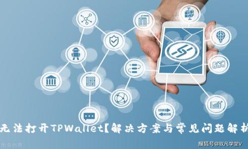 无法打开TPWallet？解决方案与常见问题解析