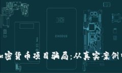 如何识别加密货币项目骗局：从真实案例中吸取