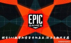 探索BAC数字加密货币的未来：潜力与挑战并存