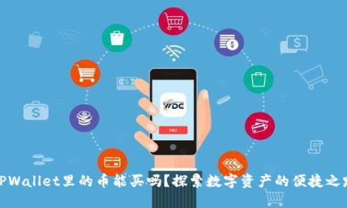 TPWallet里的币能买吗？探索数字资产的便捷之路