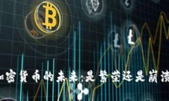 加密货币的未来：是繁荣还是崩溃？